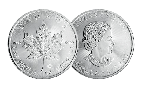 inspanning Twee graden humor Zilveren munten vergelijken | Alle soorten | Goudprijsvergelijker.nl